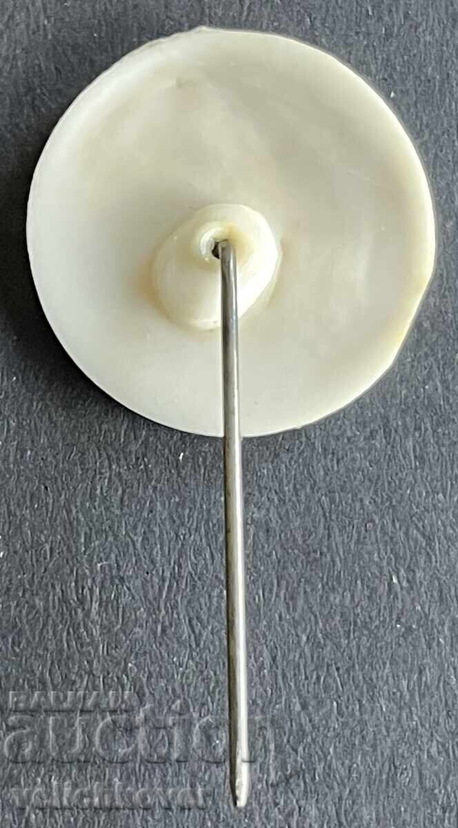 41133 България създаване характерен ландшафт Шуменски окръг с цена 4.00 лв. | € 2.05