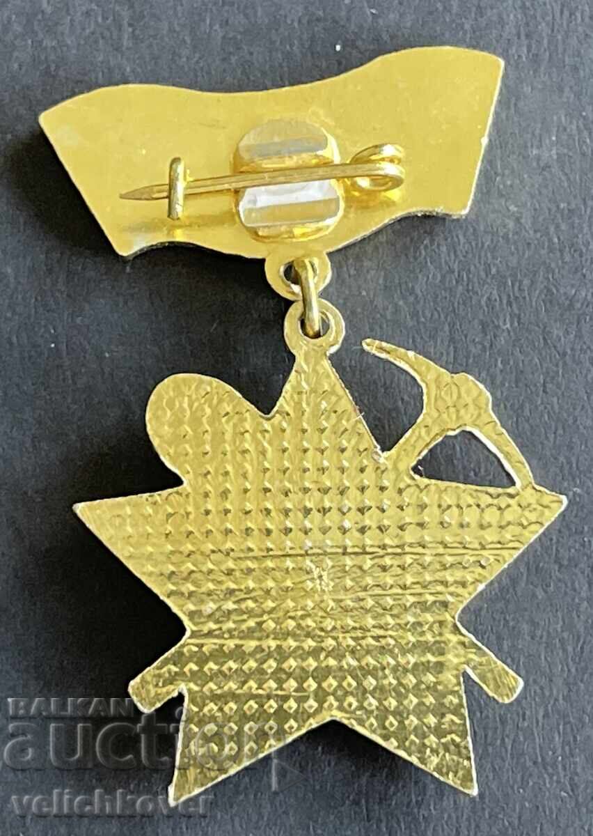 41143 България Бригадирски знак Строим за родината 1982г. с цена 5.00 лв. | € 2.56
