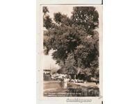 Bulgaria Card The Millennium Tree Cave 2*