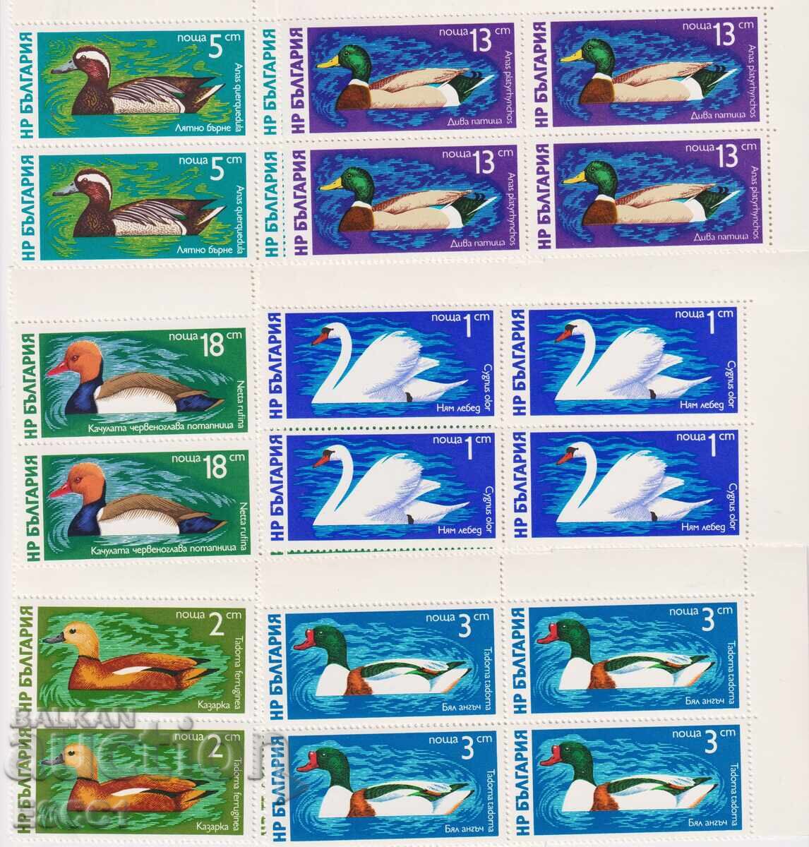 Timbre curate Cartea Fauna Păsări Acvatice 1976 din Bulgaria