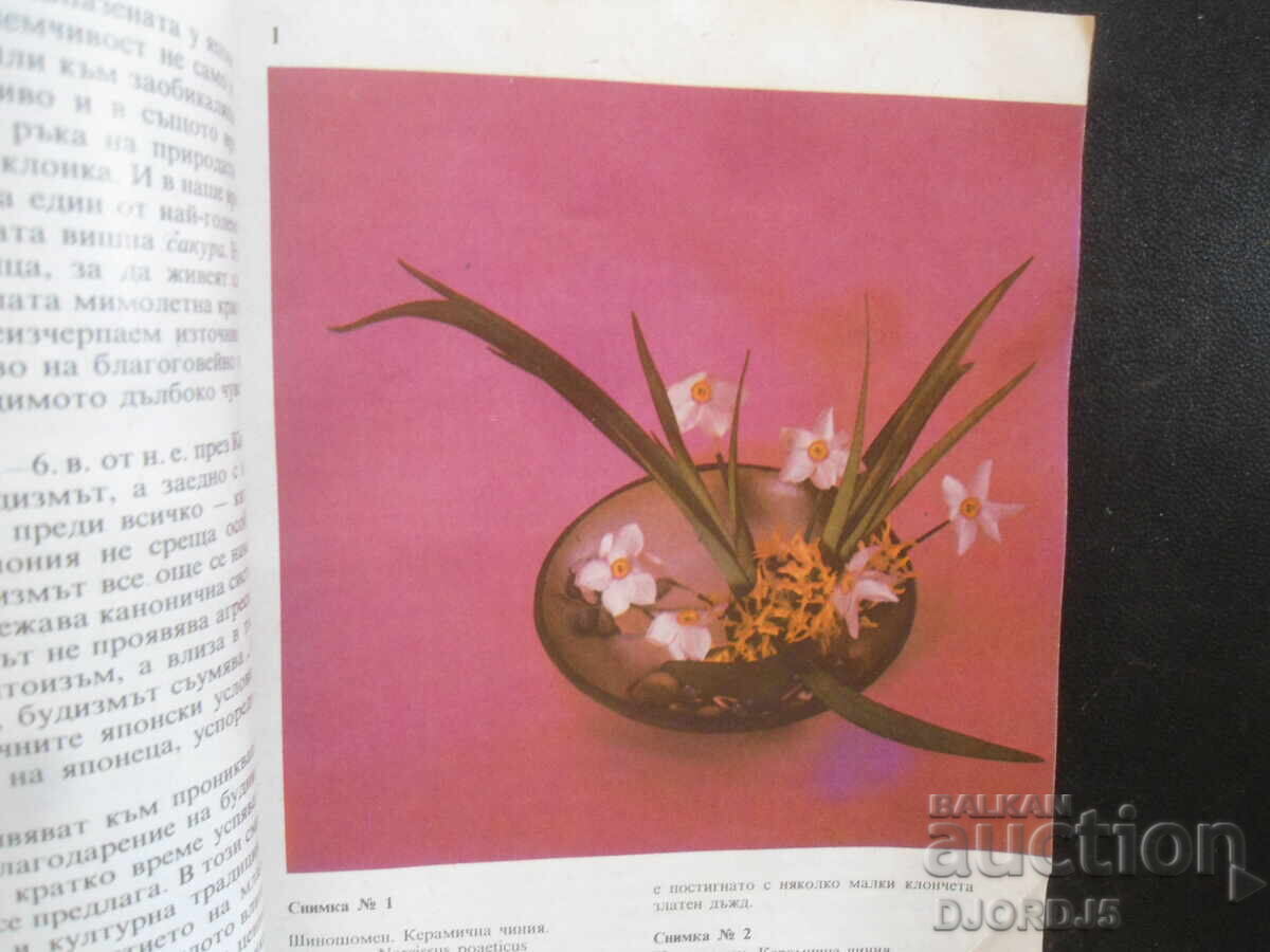 The Art of Ikebana, Rima Mirska with price 1.00 BGN | € 0.51