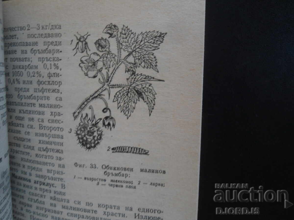 Auction  Plant protection in the private farm