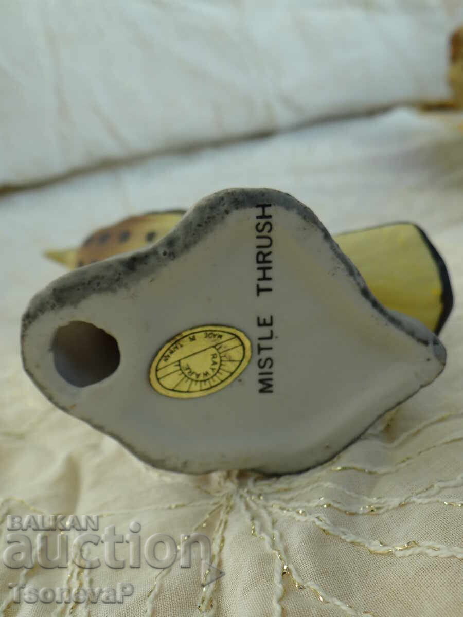 Statuetă de mierlă gulerată, Mistle Thrush - 5 Statuetă de mierlă gulerată, Mistle Thrush - 5