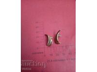 Αντίκες σκουλαρίκια με σμάλτο