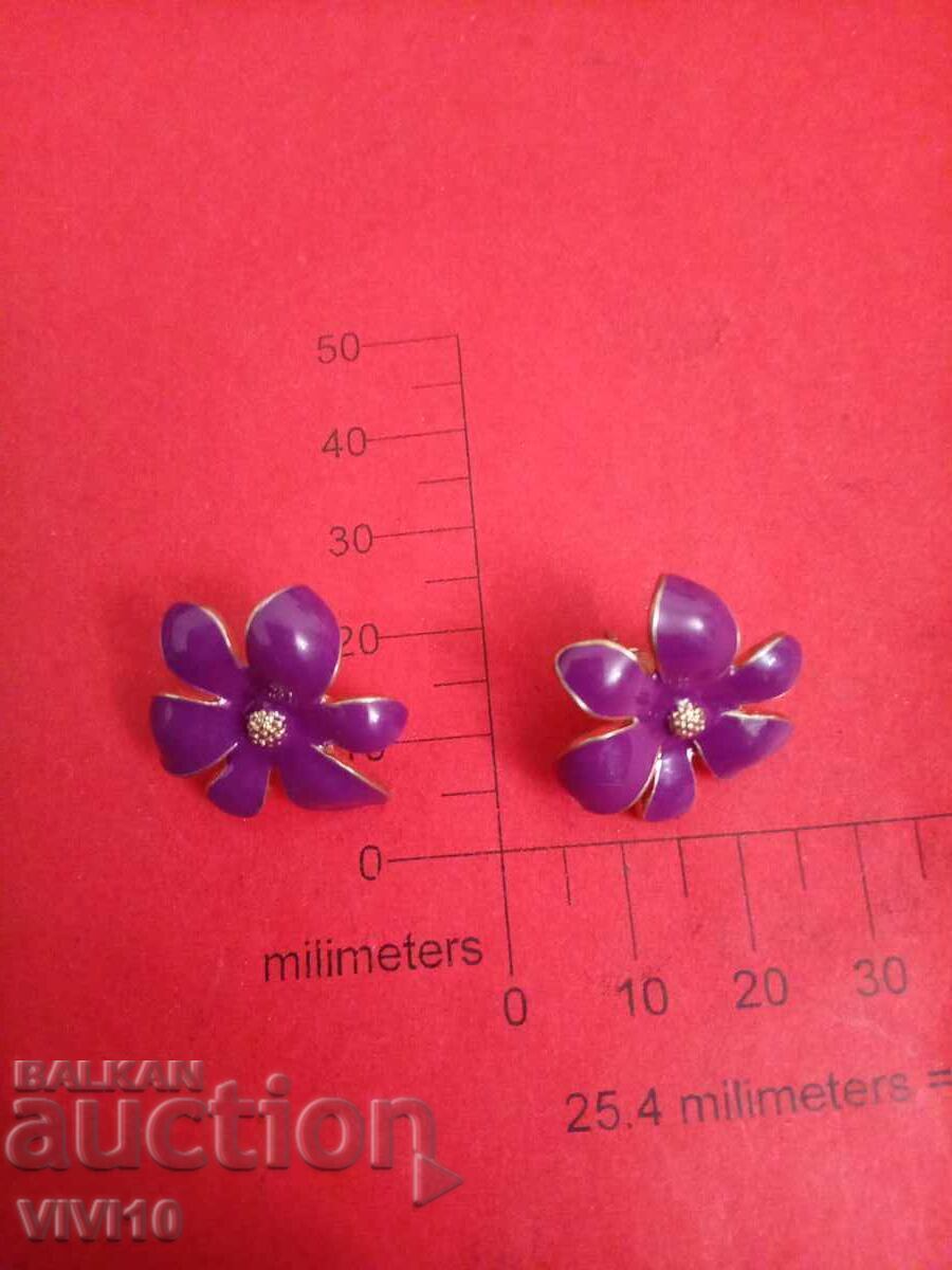 Antique enamel earrings Antique enamel earrings