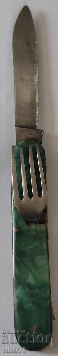 PICIOSA DE BUZUUNAR - 5