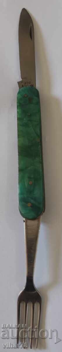 PICIOSA DE BUZUUNAR - 7