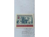 Timbre Poștal RPR Primii Călători Spațiali 1961