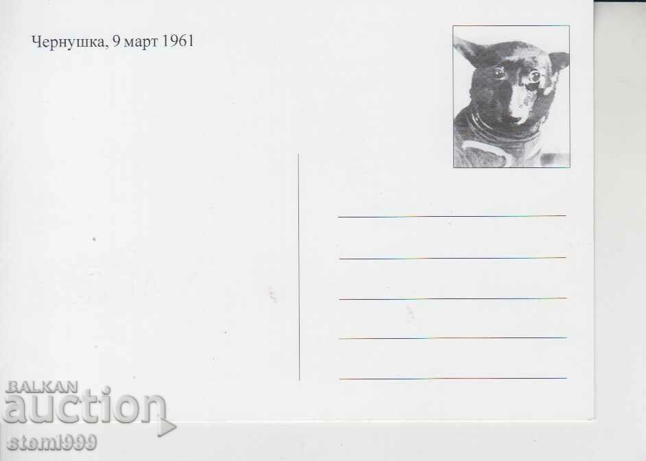 Postcard FDC Cosmos Dogs with price 2.90 BGN | € 1.48