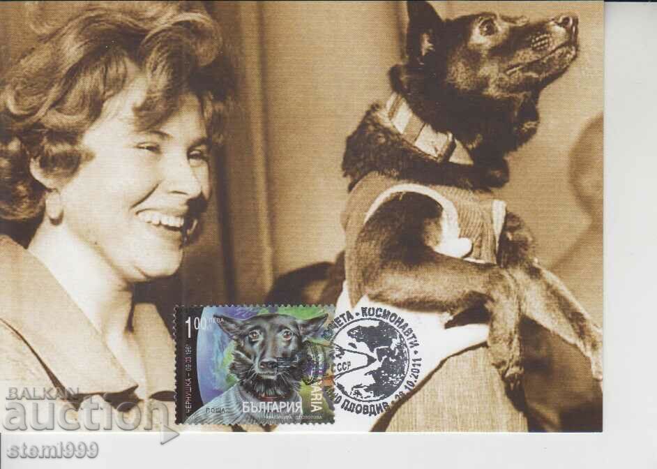 Postcard FDC Cosmos Dogs