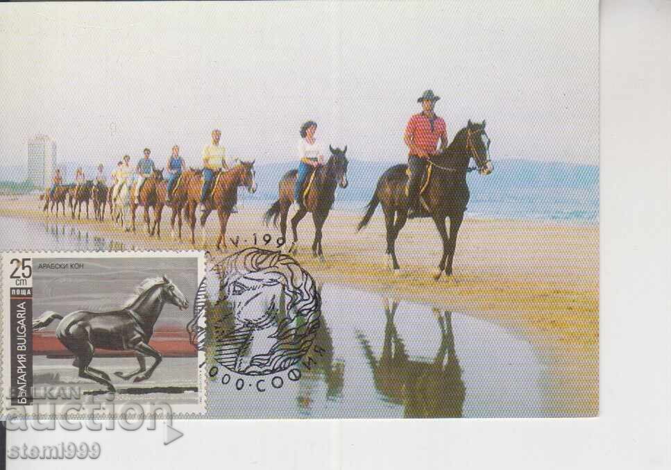 Κάρτα Μαξίμου FDC ΚΟΝΕ