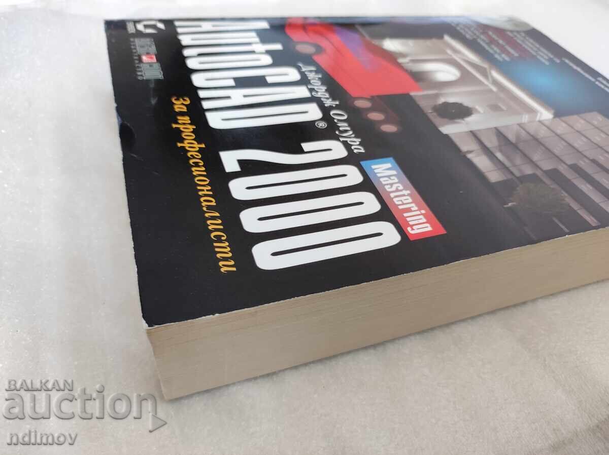 Auction  AutoCAD 2000 for Professionals