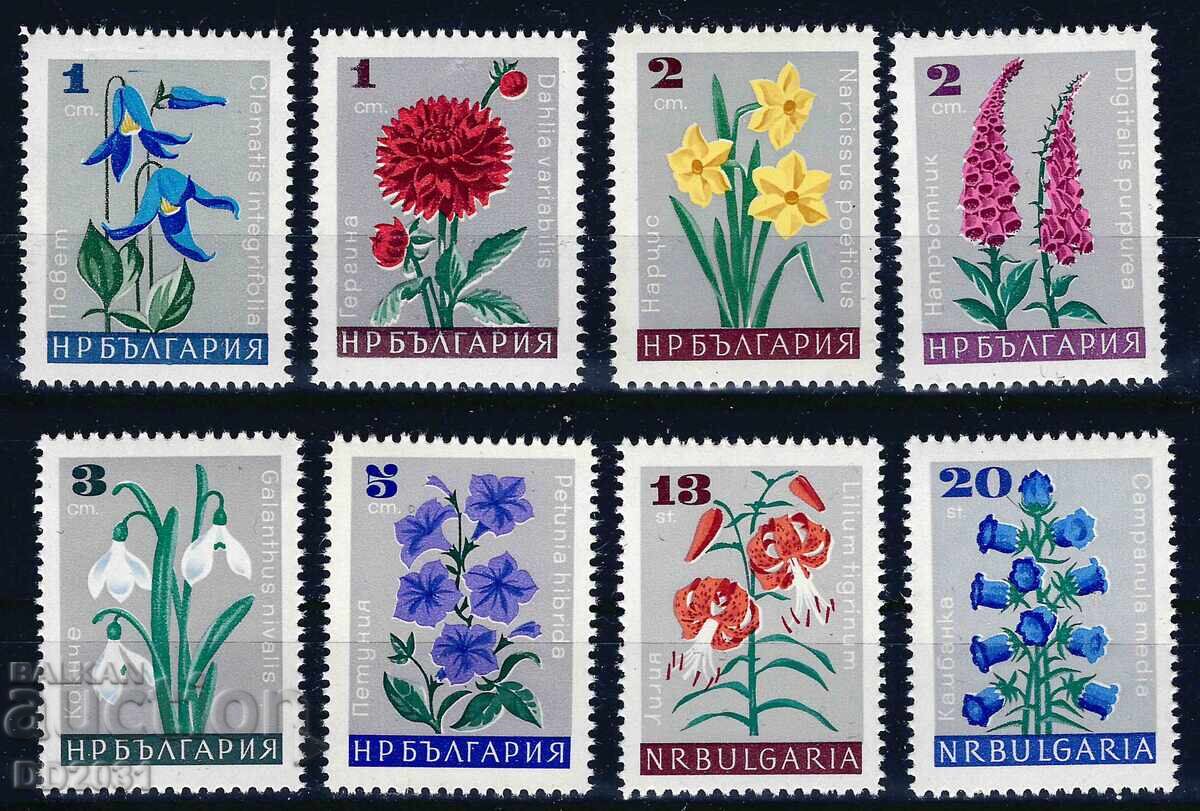 Bulgaria 1966 - flowers MNH