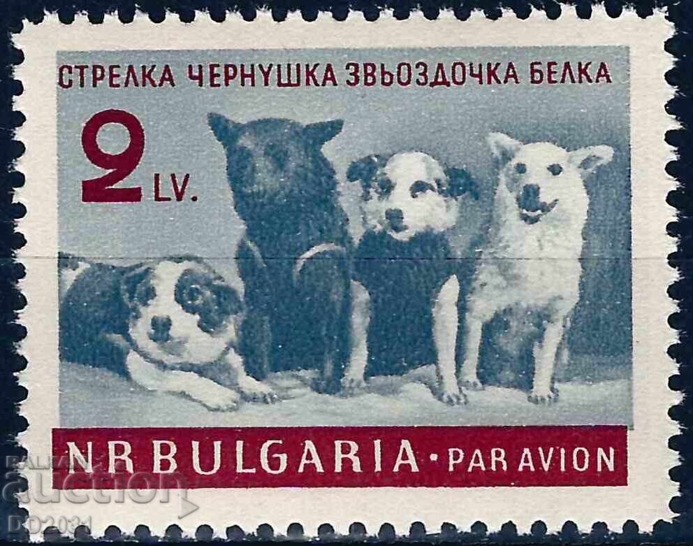 Bulgaria 1961 - Cosmonaut Dogs MNH