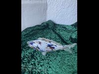 Риба-18 см,цветно стъкло