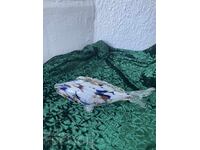 Риба-18 см,цветно стъкло