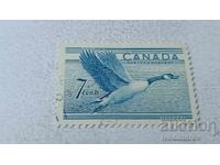 Timbre poștale CANADA Gâscă în zbor 7 cenți 1952