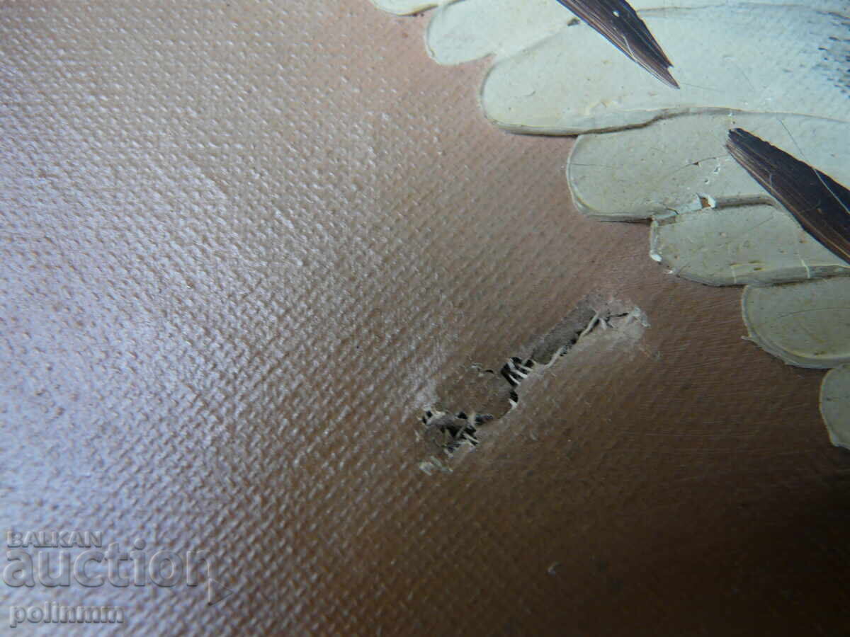 Πίνακας - Ισπανίδα τσιγγάνα - 6