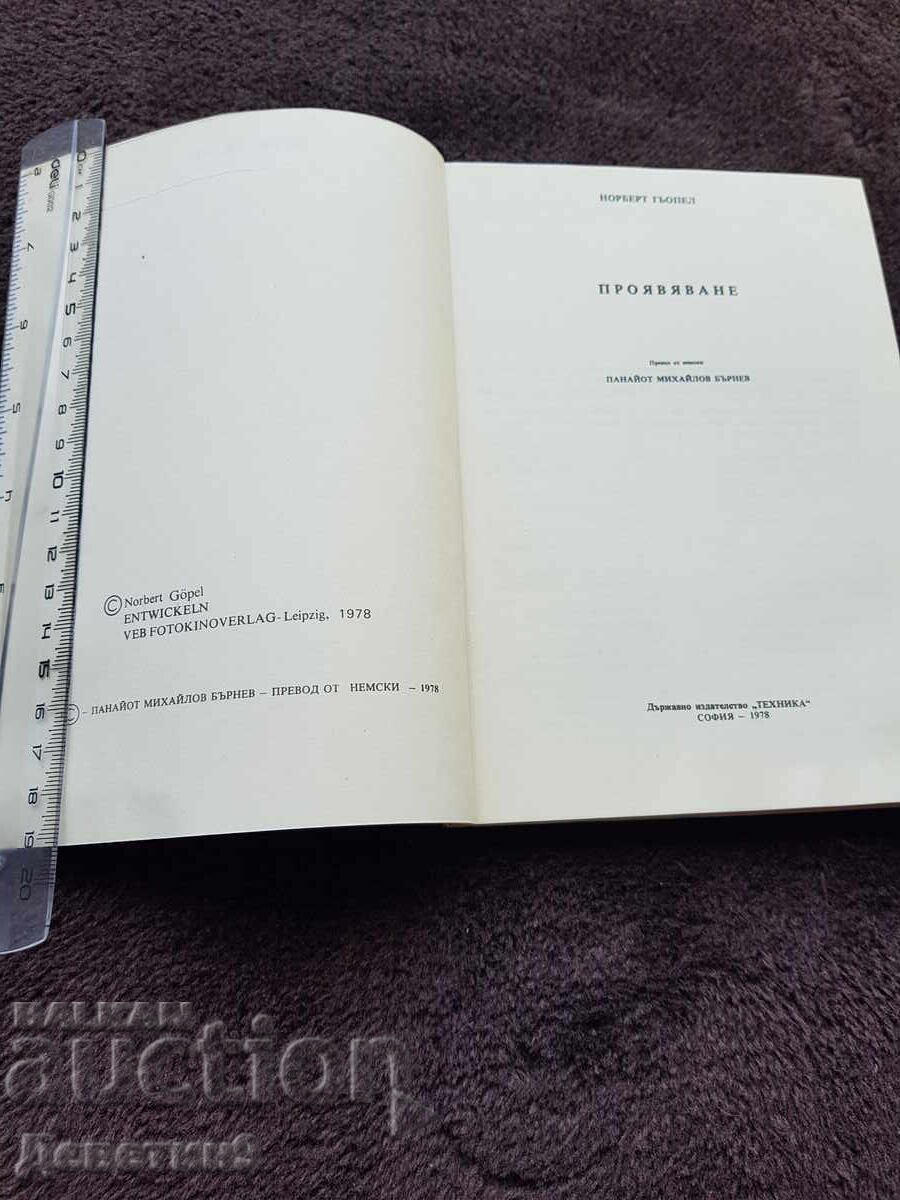 Licitație Dezvoltare - Norbert Goepel 1978 Licitație Dezvoltare - Norbert Goepel 1978