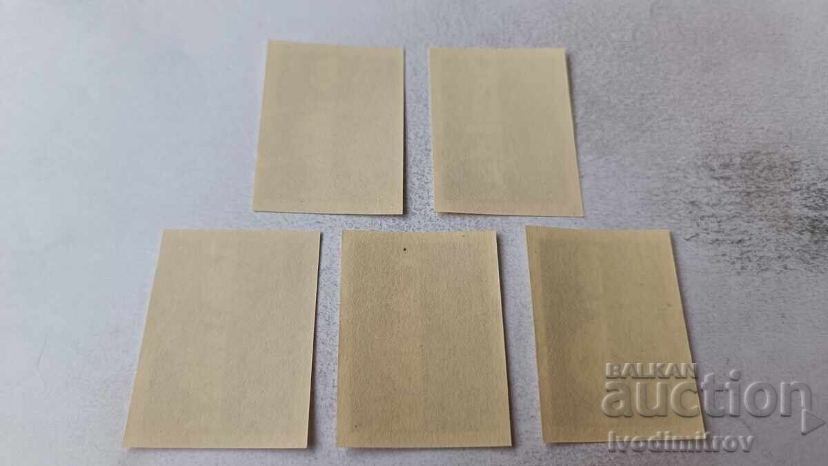 Postage stamps NRB XV Chess Olympiad Varna 1962 with price 2.15 BGN | € 1.10