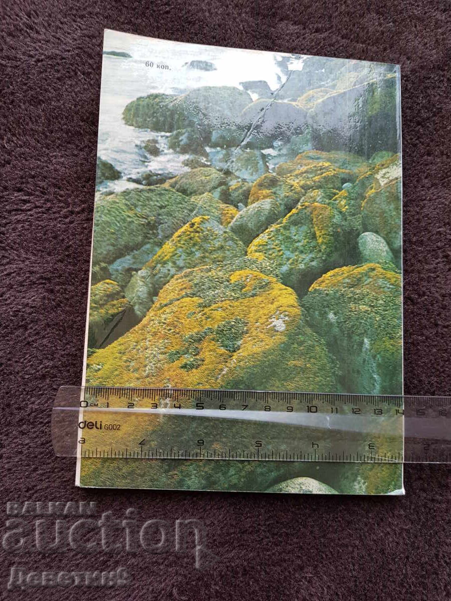 In Nature with a Camera - S. V. Markov 1978 with price 6.00 BGN | € 3.07