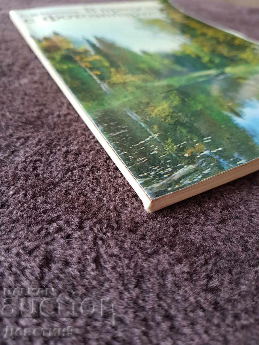 In Nature with a Camera - S. V. Markov 1978 - 5