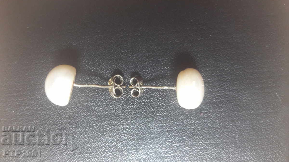 σκουλαρίκια με τιμή 2.00 BGN | € 1.02