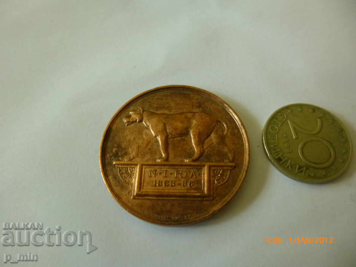 Licitație Plachetă