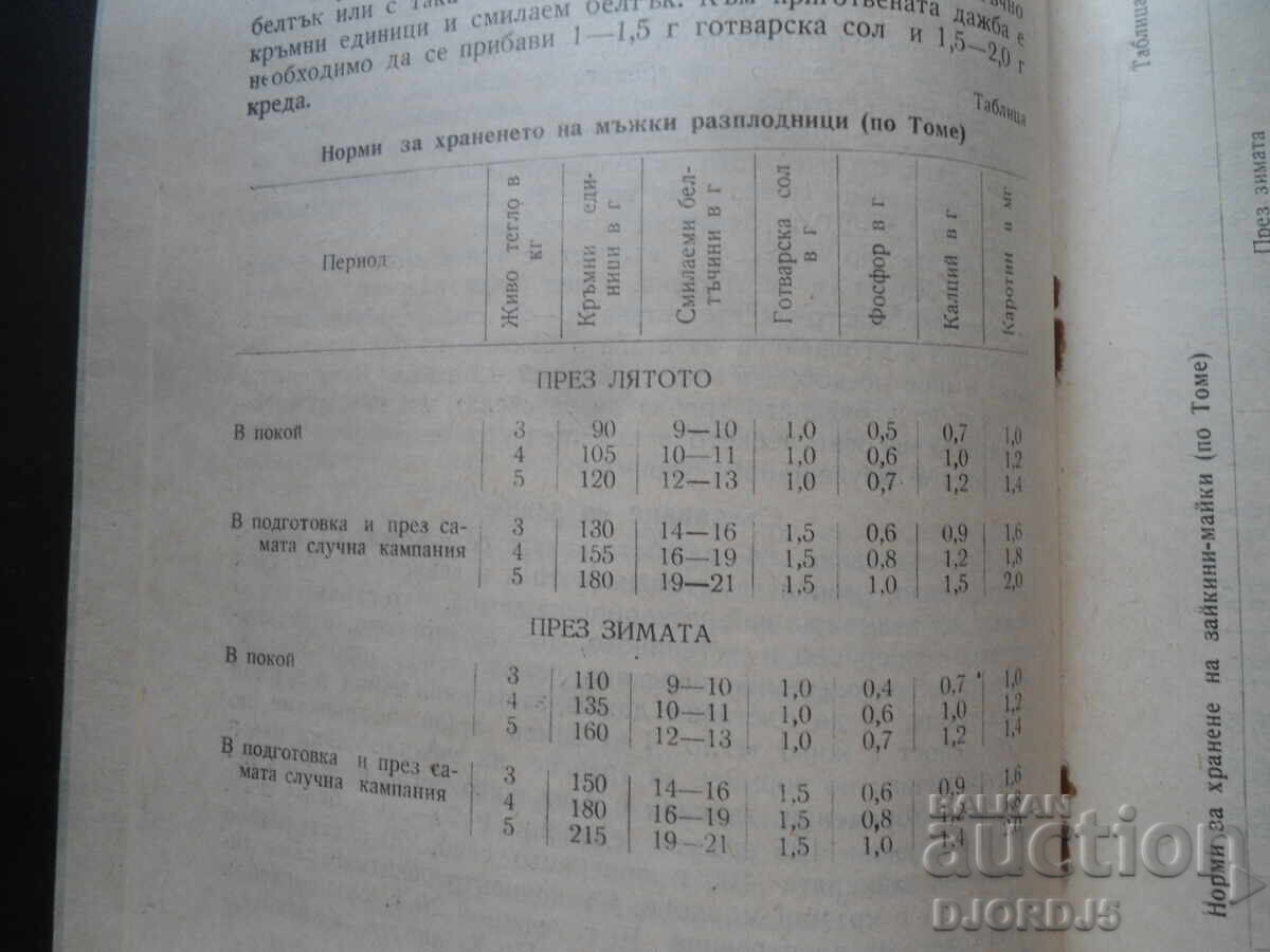 Licitație Instrucțiuni pentru hrănirea și îngrijirea iepurilor de casă