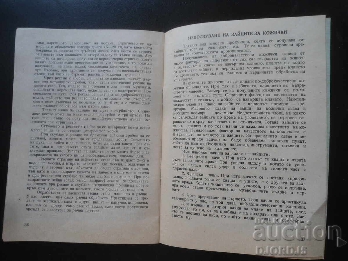 Instrucțiuni pentru hrănirea și îngrijirea iepurilor de casă - 5