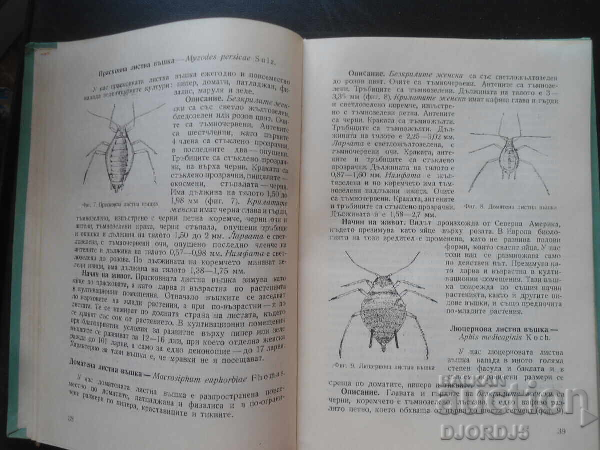 Boli și dăunători la culturile de legume cu preț 15.00 BGN | € 7.67