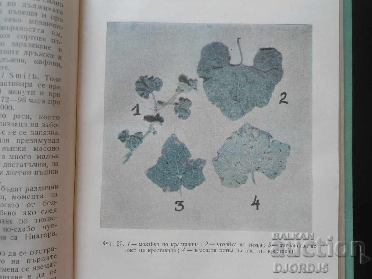 Livrarea Boli și dăunători la culturile de legume