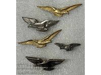 Lot Semne Aviator (fără catarame/agrafe și piulițe)