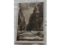 ΜΠΟΡΟΒΕΤΣ ΕΜΦΑΝΙΣΗ Π.Κ. 1950 μ.Χ