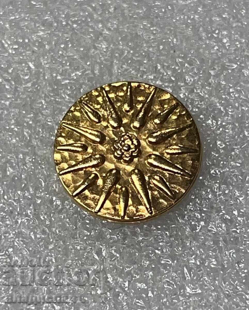 Γραμμή εικονιδίου Αστέρι της Βεργίνας Γραμμή εικονιδίου Αστέρι της Βεργίνας