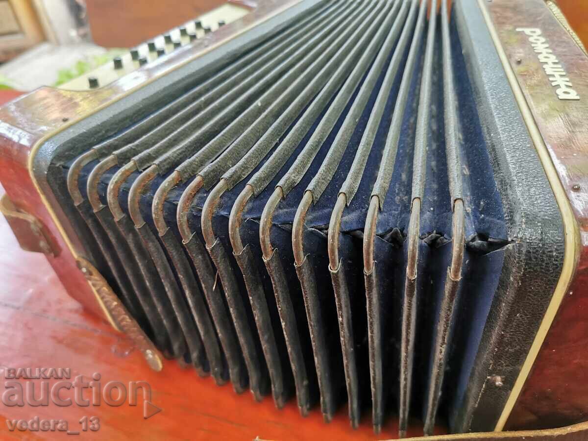 ACCORDION HARMONICA CHAMOMILE - 5 ACCORDION HARMONICA CHAMOMILE - 5