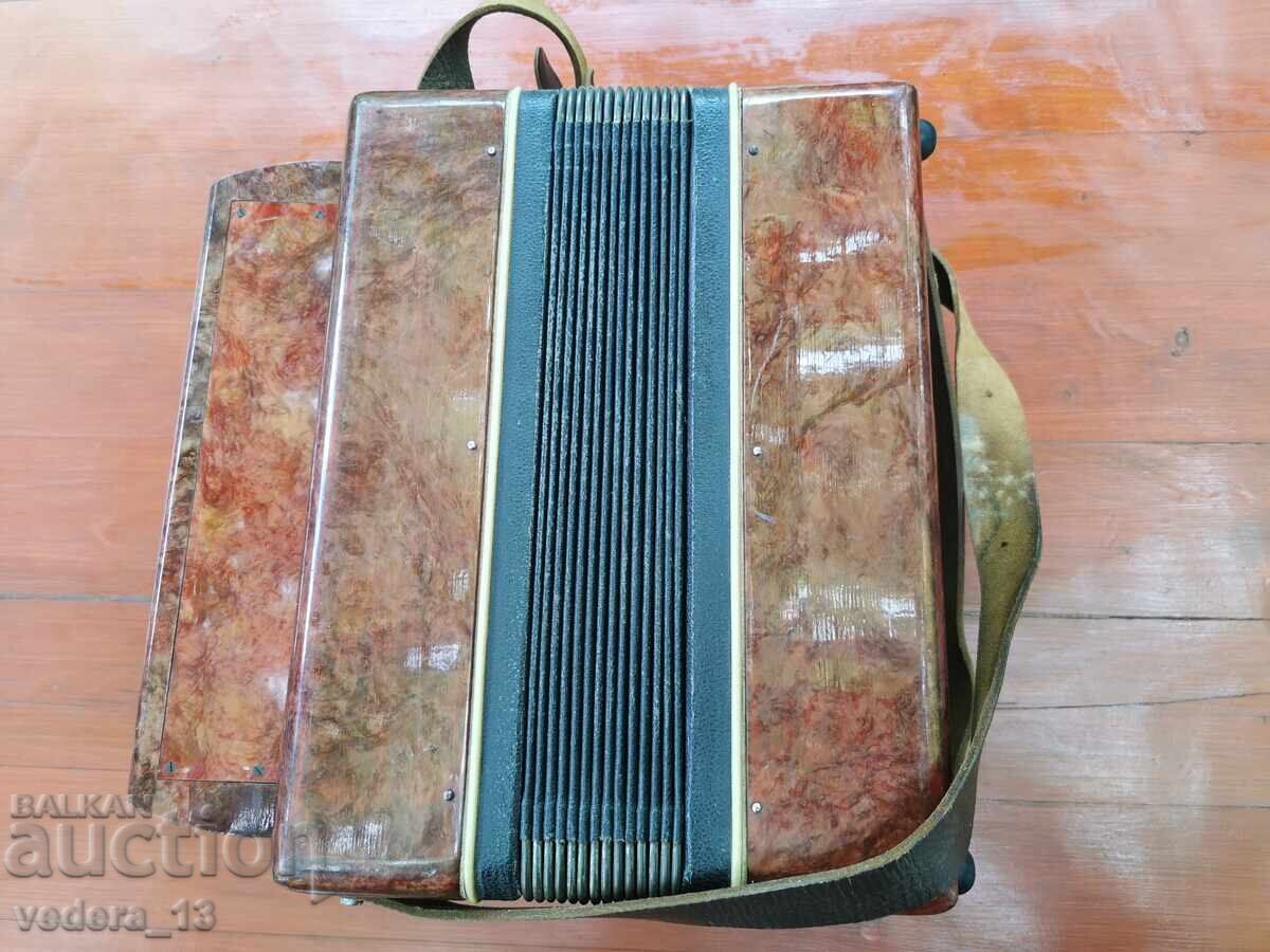 ACCORDION HARMONICA CHAMOMILE - 6 ACCORDION HARMONICA CHAMOMILE - 6