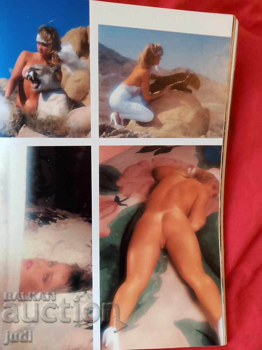 Licitație Penthouse 1990 american limitat