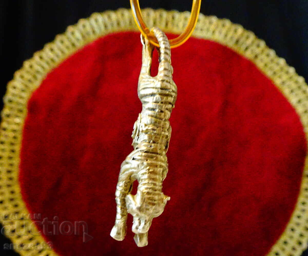 Κολιέ με χάλκινο μενταγιόν Τίγρη και αλυσίδα με ασήμι 925 - 5