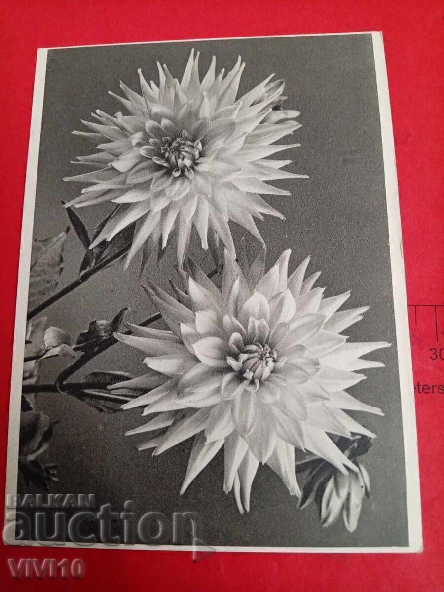 Antique postcard, 1943