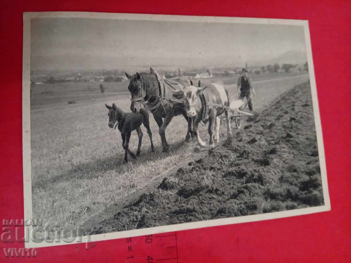 Старинна пощенска картичка, 1944г