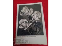 Carte poștală veche, 1940