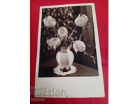 Старинна пощенска картичка, 1937г