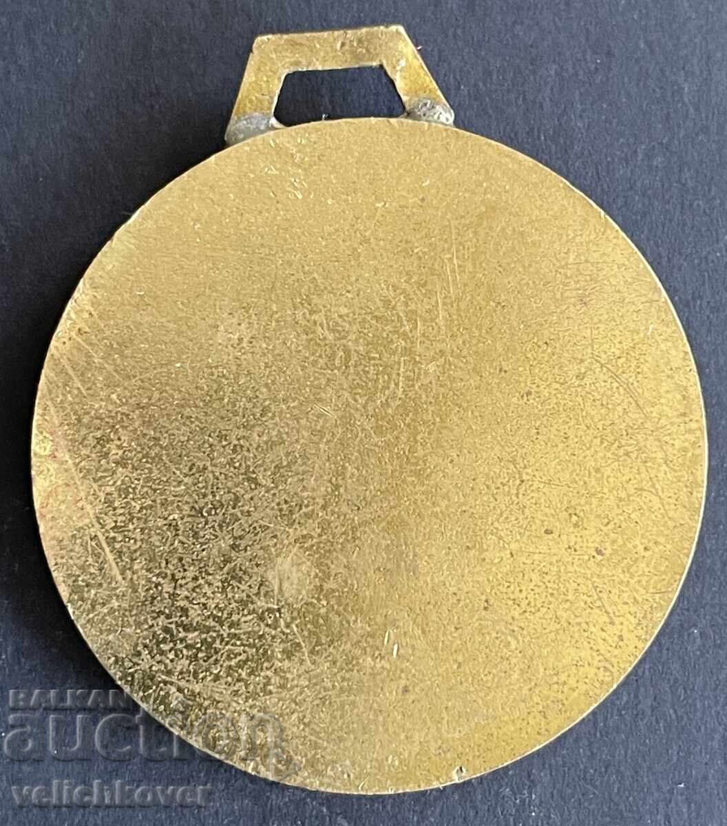 41256 Bulgaria jetoane pentru câini Primăria Plevna cu preț 25.00 BGN | € 12.78