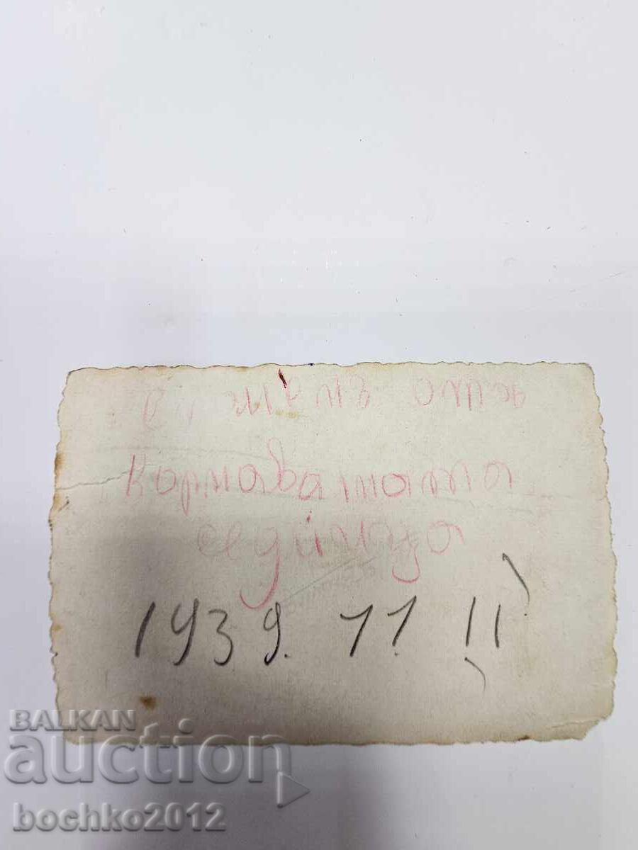 Fotografie din perioada Renașterii, fotografie, costum popular, șorț, anul 1939 - 5