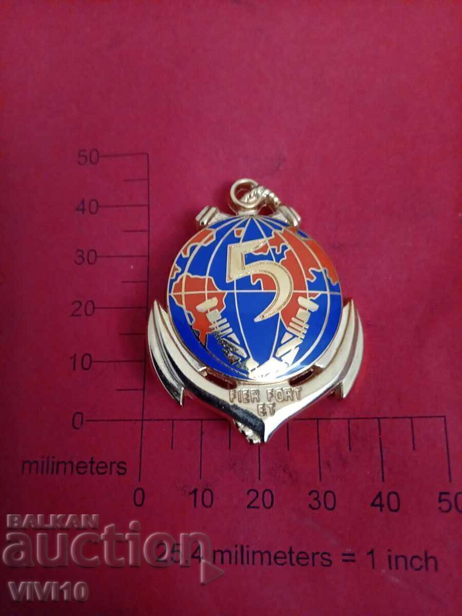 French Military Badge