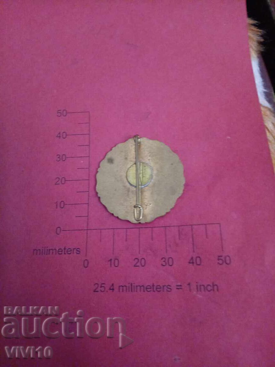 Старинна брошка емаил с цена € 15.00 | 29.34 лв.