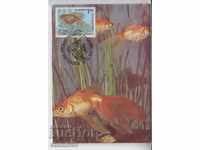 Card maximum FDC Animals Ornamental fish
