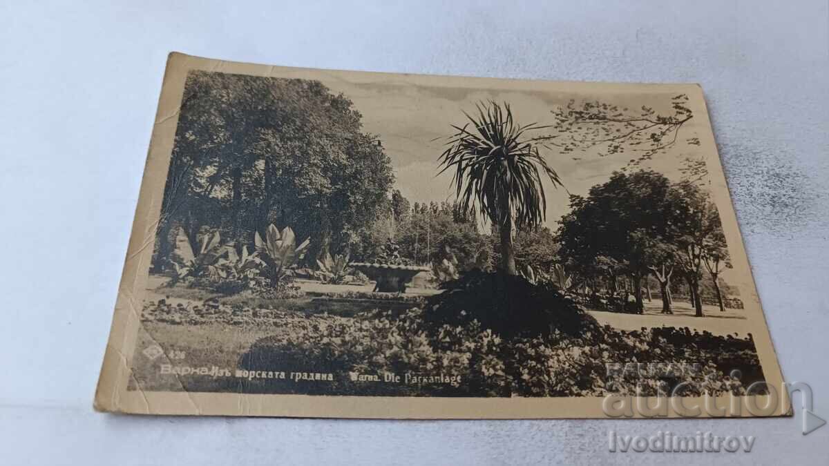 П К Варна Изъ Порската градина Гр. Пасковъ 1949