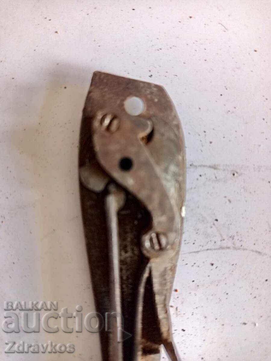 Mecanismul capsulei - 7